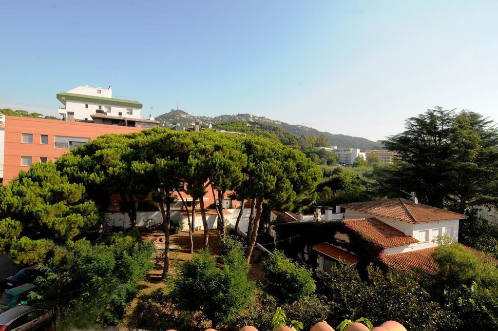 Caribe apartments