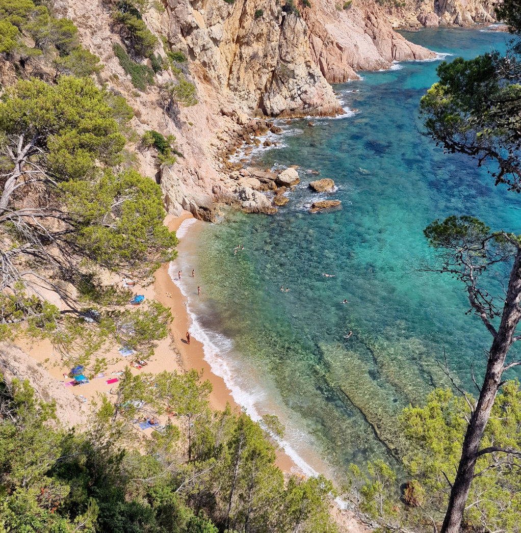 Cala Fotedera