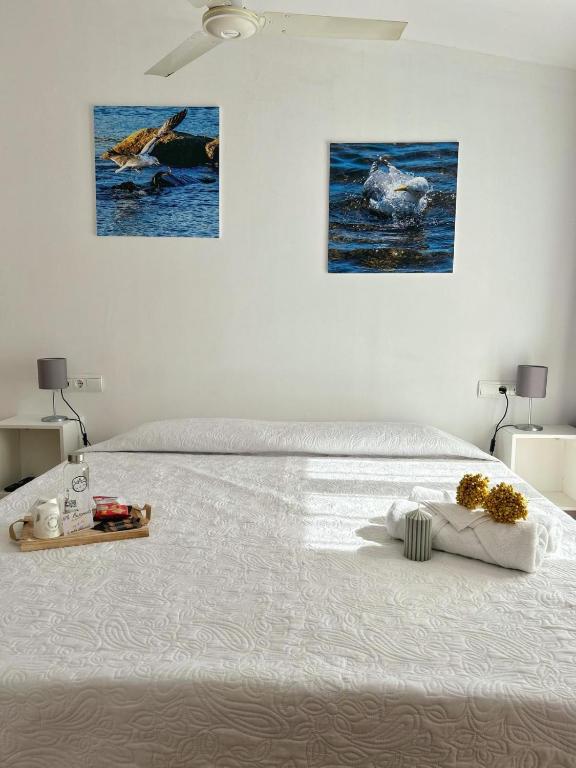 Hotel Can Pepin
