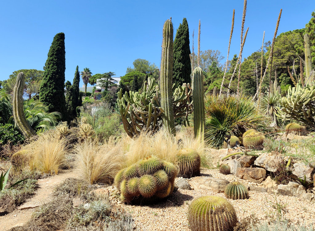 Marimurtra Botanical Garden In Blanes 2026 Visit Costa Brava Marimurtra Botanical Garden In Blanes 2026 Visit Costa Brava