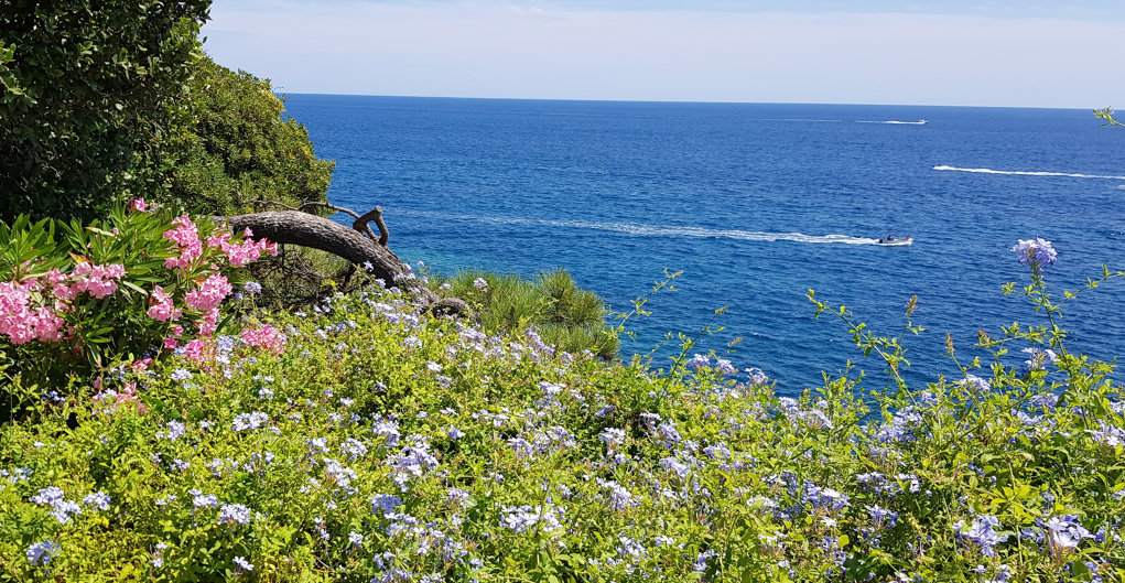 Jardí Botànic Pinya de Rosa