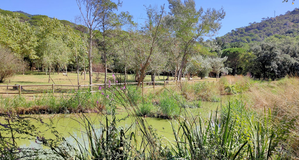 Parque de Sa Riera - 2025 - Visita Costa Brava