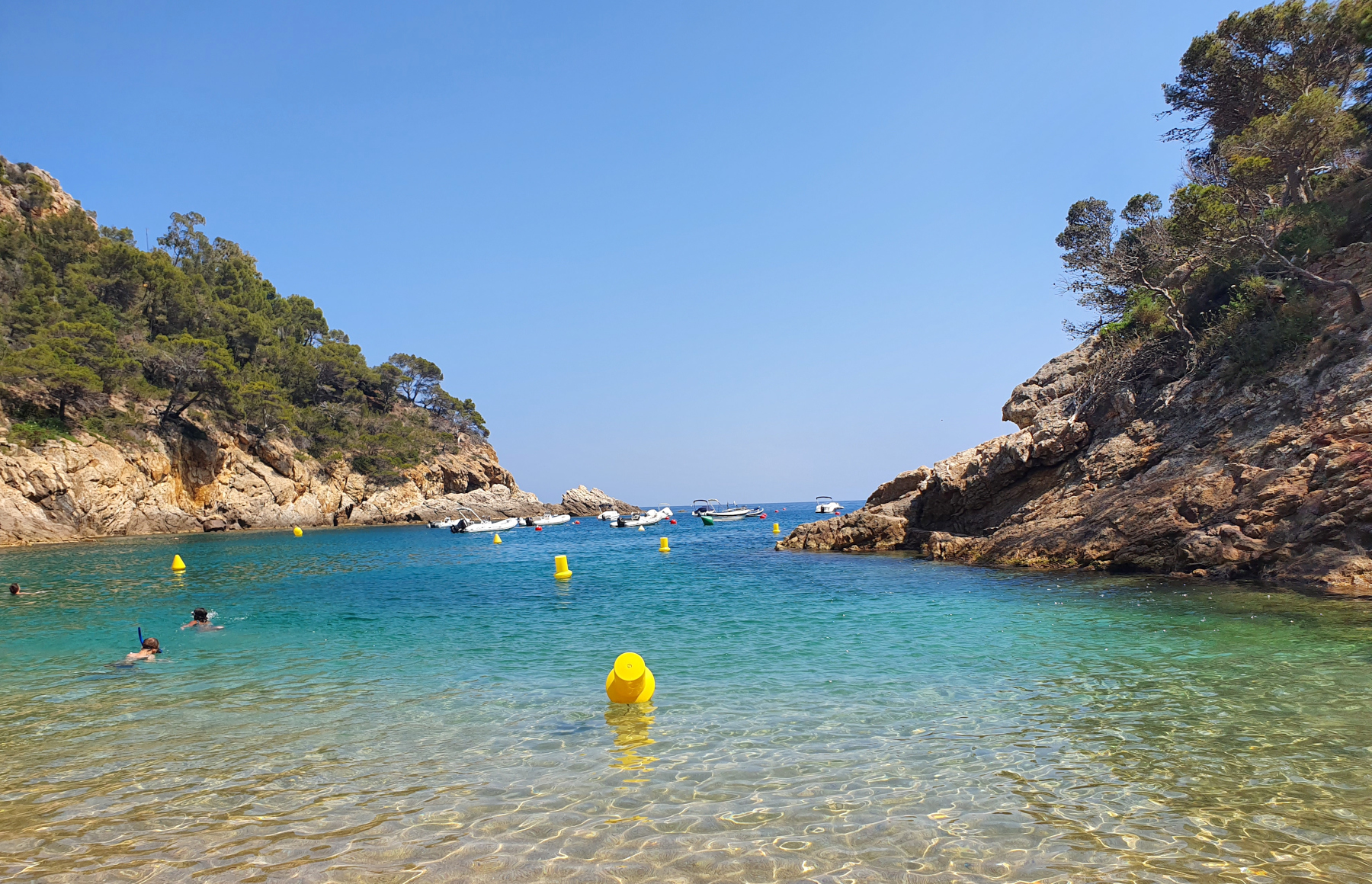 Cala Pola En Tossa De Mar 2026 Visita Costa Brava Cala Pola En Tossa De Mar 2026 Visita Costa Brava