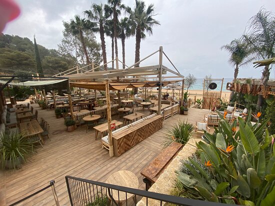 Gammarus Restaurant Beach Club 2026 Visita Costa Brava gammarus-restaurant-beach-club-2026-visita-costa-brava