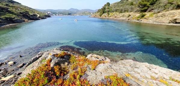 Playa des Calders Cadaqués