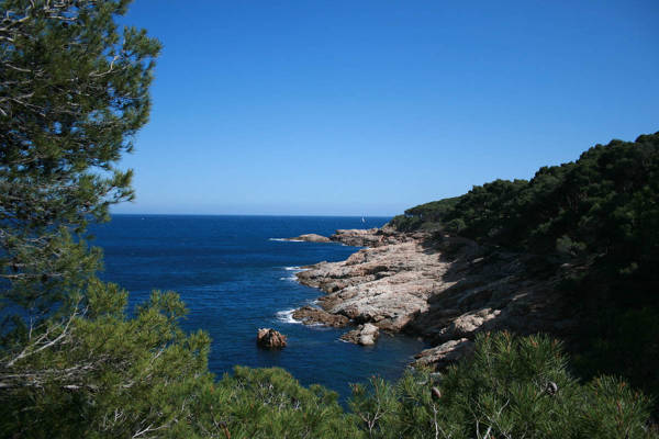 Camino de ronda