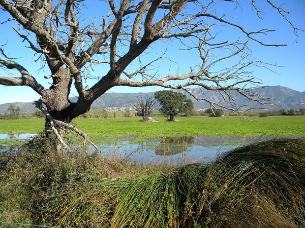 Aiguamolls de l’Empordà Empuriabrava