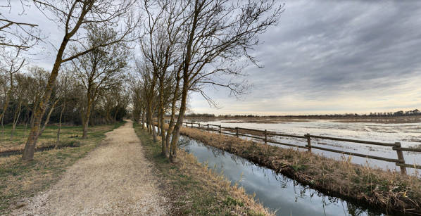 Aiguamolls de l’Empordà Empuriabrava