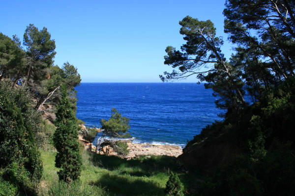 Camino de ronda