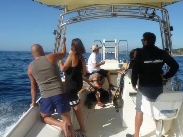 Ecosafari- Paseo de barco