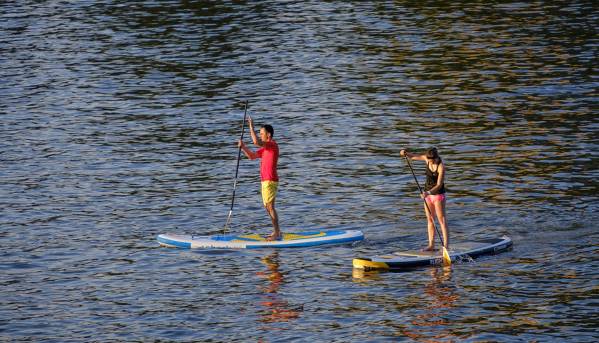 Paddle Surf Rental