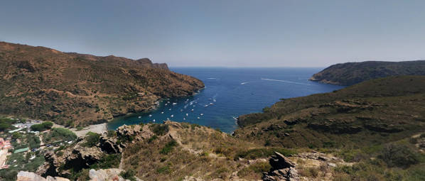 Jòncols cove Roses