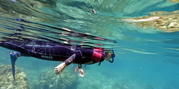 Eco-Snorkel en las islas Medes L'Estartit