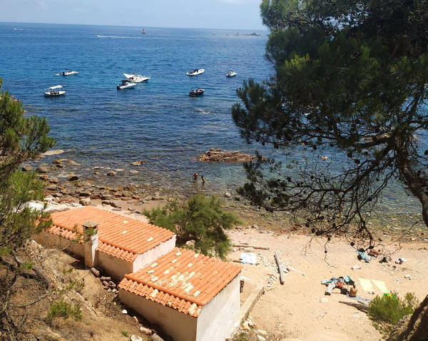 Cala del Crit  Palamós