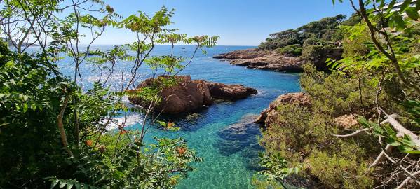 Calas de Es Cranc, El Peix y Els Mussols Sant Feliu de Guíxols