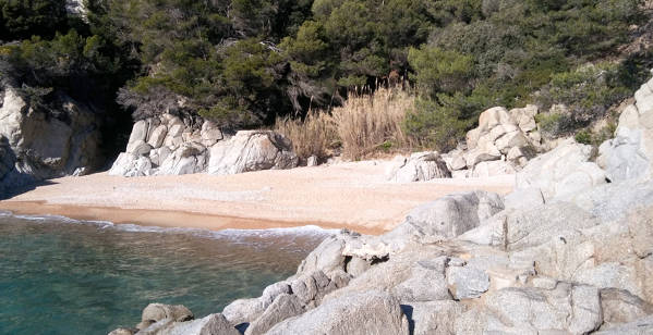 Figuera cove Tossa de Mar