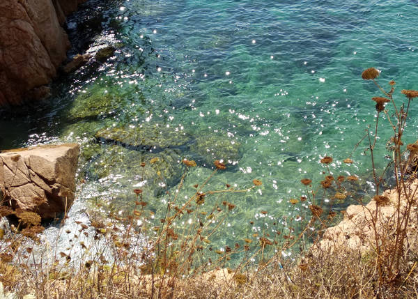 Jonca cove Sant Feliu de Guíxols