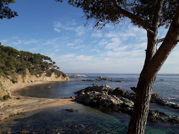 Roca Bona cove Palamós