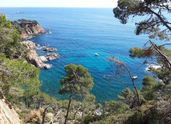 Sa Corbetera cove / Els Capellans cove  Palamós