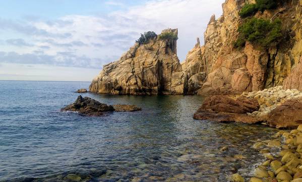 S'Agulla cove Blanes