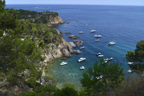 Senià cove Palamós