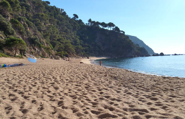 El Senyor Ramon cove Sant Feliu de Guíxols