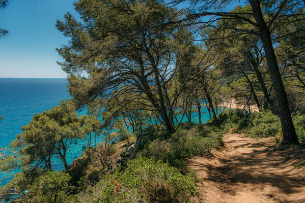 cami-ronda-lloret-fenals-blanes--7-.jpg