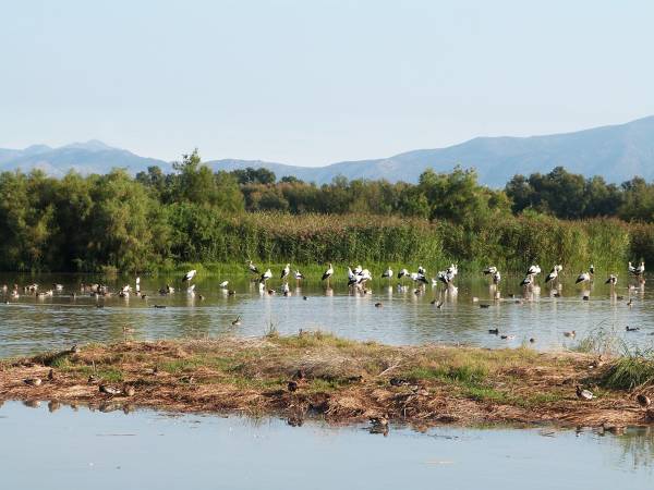 Sant Pere Pescador