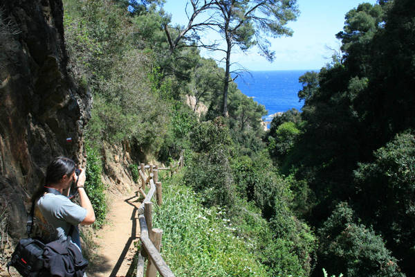 Camino de ronda