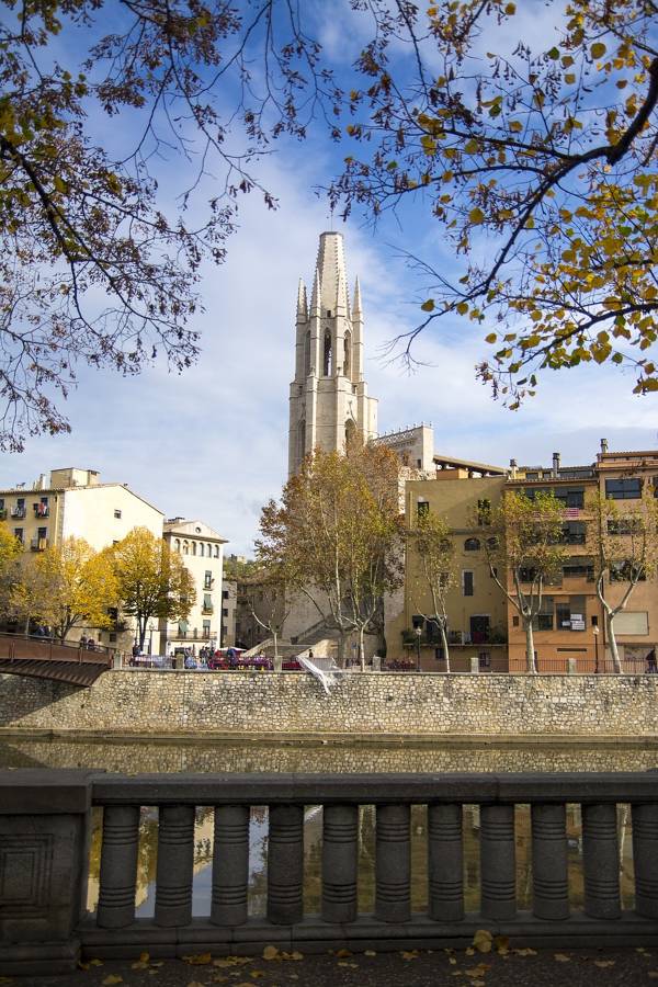 Entradas a la Catedral de Girona y Basílica de Sant Feliu