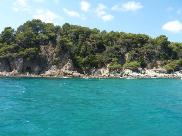 Ecosafari- Paseo de barco