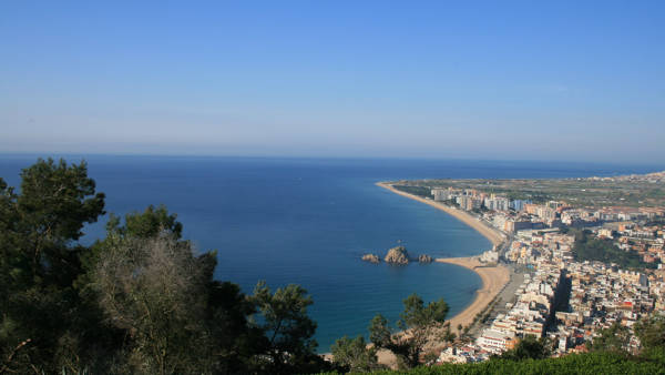 Sa Palomera