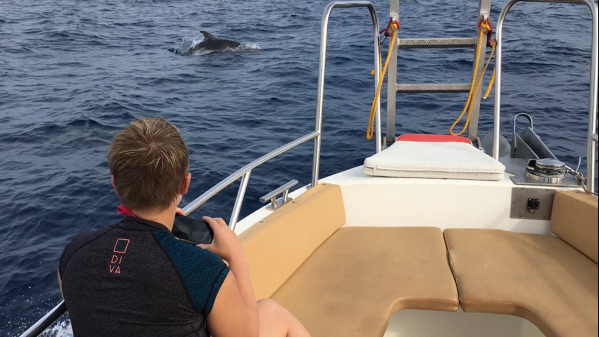 Ecosafari- Paseo de barco