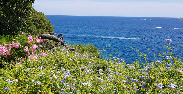 Jardín Botánico Pinya de Rosa Blanes