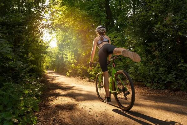 Bike rental in Lloret de Mar (5 days)