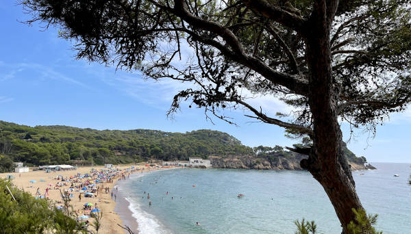 Playa de Castell Palamós