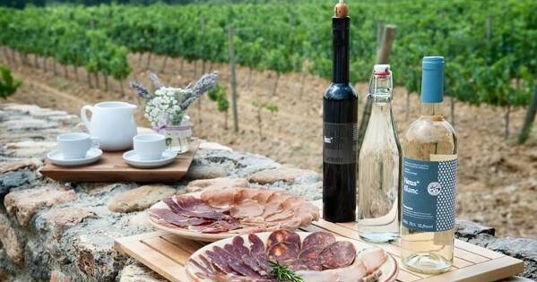 Tour de Vins DO Empordà (2 Cellers + Esmorzar) Girona