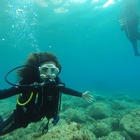 Bautizo de buceo en la playa