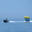 Flyfish