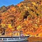 Eco-Snorkel in the Medes Islands