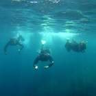 Eco-Snorkel in the Medes Islands