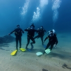 Introductory scuba diving experience in Lloret de Mar