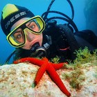 Buceo en barco 13:00 h