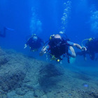 SSI Open Water Diver Course in Lloret de Mar