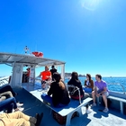 Passeig en vaixell a les Illes Medes i Roca Foradada