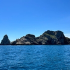 Passeig en vaixell a les Illes Medes i Roca Foradada