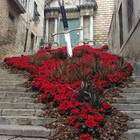 Joc de Trons Tour a Girona