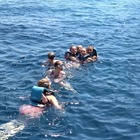 Tour por las Islas Medes y baño en el Parque Natural del Montgrí