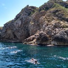 Tour por las Islas Medes y baño en el Parque Natural del Montgrí