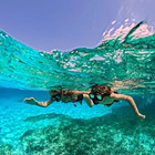Snorkeling with marine biology in Lloret de Mar